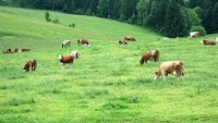 /album/zd-rudice-preckovice/a8-jpg/